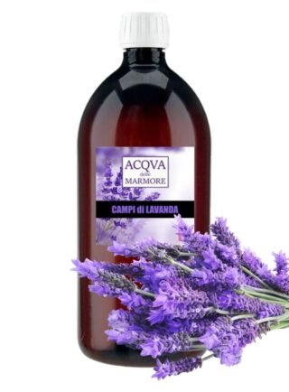 CAMPI LAVANDA  1000