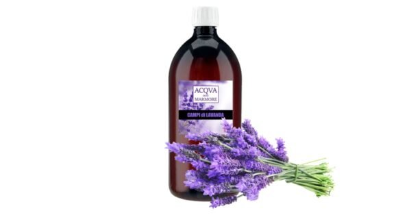 CAMPI LAVANDA  1000