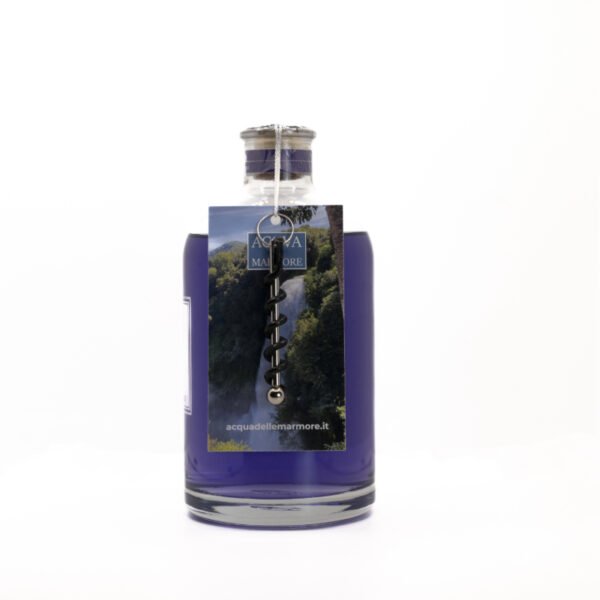 CAMPI LAVANDA LUXURY - immagine 2